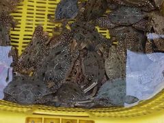 -红海湾豪记海鲜大排档