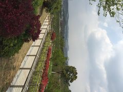 iphone_upload_pic-羊山湖公园