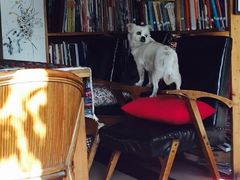 北方国际青年旅舍-哈尔滨北方国际青年旅舍(中央大街店)