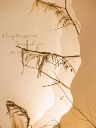 -明典婚礼策划·婚车租赁·婚纱摄影