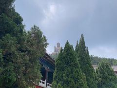 -龙口南山旅游景区