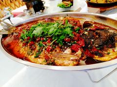 -庐州太太(信地店)