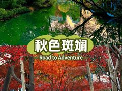 -青枫公园