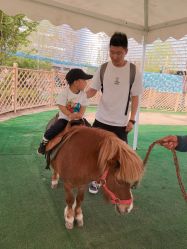 点击看大图 -萌宠亲子动物乐园(槐房万达店)