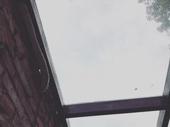 房顶-VOYAGE COFFEE(北锣鼓巷店)