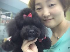 -瑞派宠物医院·24小时骨科·心脏·核磁(哈尔滨南岗店)