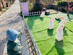 -香雪海