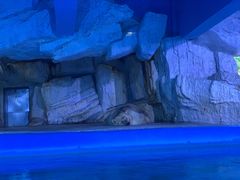 -蓬莱欧乐堡海洋极地世界