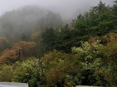 -鸽子侯·家宴·平价海鲜(绿地店)