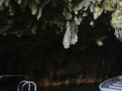 -怀托摩萤火虫洞