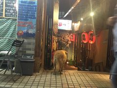 门面-椰爺爺·椰子冻砵仔糕