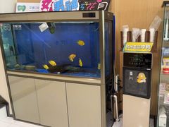 -艾维口腔(春江花月门诊部)