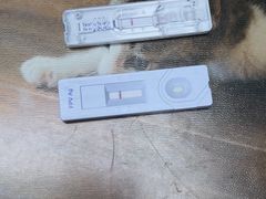 -关爱宠物医院·猫科中心·消化科(滨湖万达分院)