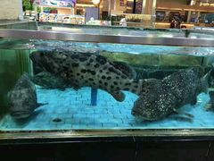 -渔民新村(番禺总店)