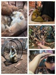 -Zoolung Zoolung动物主题公园(海信广场店)