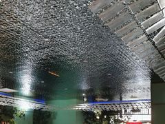 -松沪名灶·豆浆鱼头·新上海菜(飞航吾悦广场店)