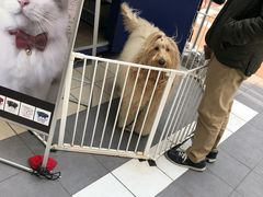 -三井奥特莱斯购物城(爵士之梦长岛店)