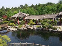 -中国唐苑