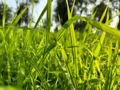 -汉长安城未央宫国家考古遗址公园