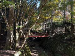 -三千院