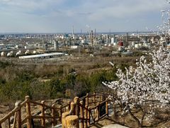 -白水寺森林公园