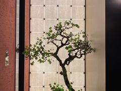 餐厅一角景观-湘上湘(米其林餐厅-正大中心总店)