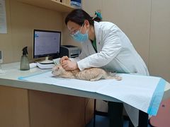 -瑞鹏宠物医院·爱宠堂·骨外专科(西荷分院)