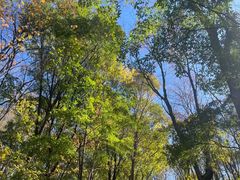 -帽儿山风景区