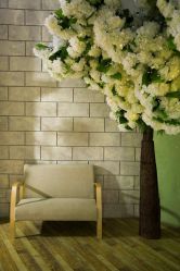 -星光贝贝(万达店)