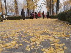 -两江幸福广场