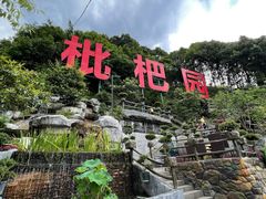 -枇杷园食为鲜火锅(南山店)