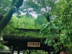 -绍兴鲁迅故里·沈园景区