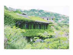 -枸杞岛