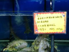 -蚝专家(北滘店)