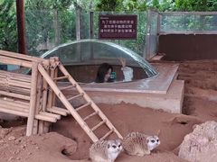 -济南野生动物世界
