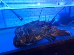 -Burger & Lobster(Dean Street)