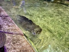 -重庆欢乐海底世界