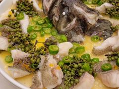 青青椒麻龙胆鱼-CHIC1699远洋私厨