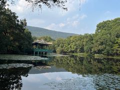 -紫金山山顶公园