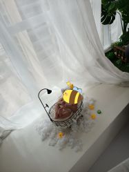 -玛瑞莎·儿童·亲子摄影(越秀店)