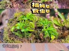 -正佳雨林生态植物园