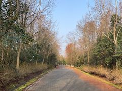 -上海海湾国家森林公园