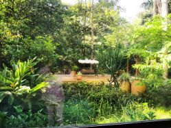 -宝生月子中心(独栋园林·福田店)