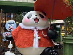 -轩客会(熊猫书店)