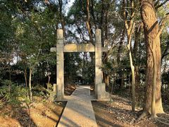 -上海佘山国家森林公园天马山园