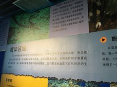-沙沙哗啦海洋馆(华宇百花谷店)