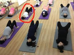 -美华丁香门诊部·全科·妇儿·口眼