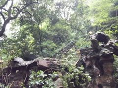-杭州黄龙洞