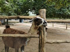 -西安秦岭野生动物园