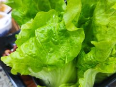 -都善和记洛阳涮牛肚(丰产路店)